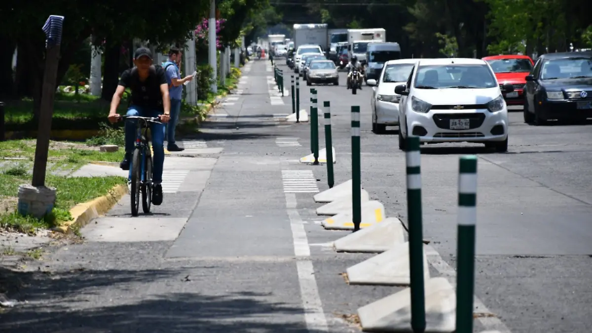 Ciclovía avenida Guadalupe